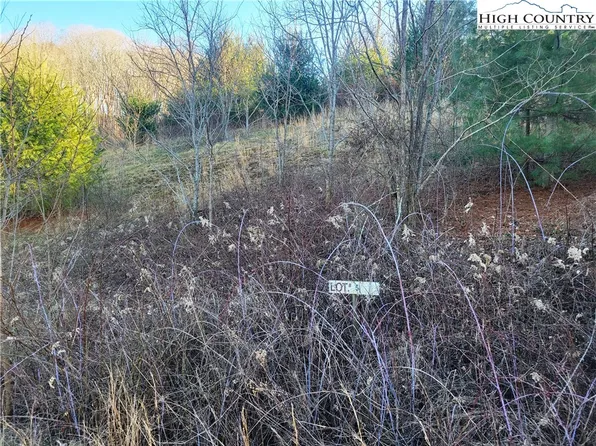 Lot 5 Terra Vista Drive, Laurel Springs, NC 28644