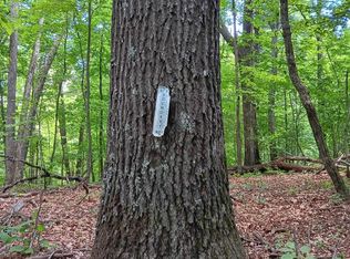 0 Barberry Rd SE, Floyd, VA 24091