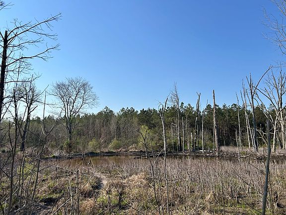 3rd image of 0 Highway 245
