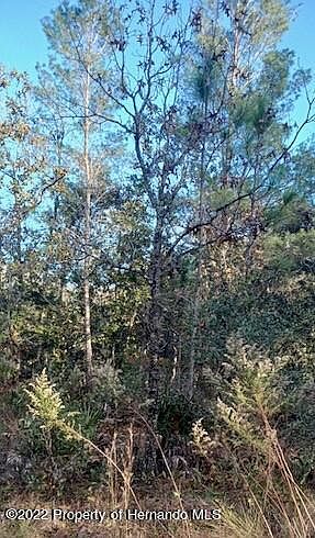 1st image of 15144 Eckerley Dr