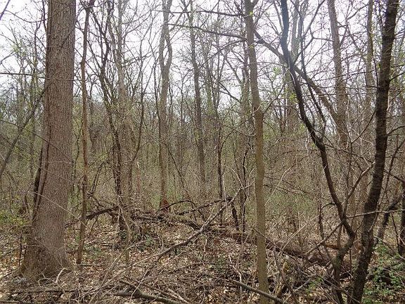 5th image of 7525 Cherry Hill Dr