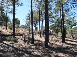 3440 W Sage Ln, Show Low, AZ 85901