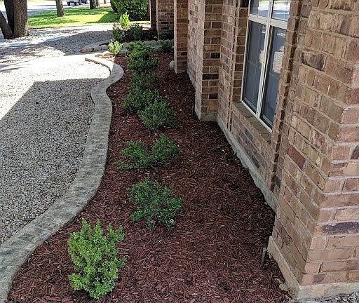 4th image of 4129 Shefflera Dr