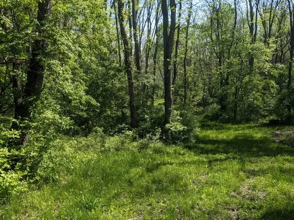 515 Trotter Dr, Heyworth, IL 61745