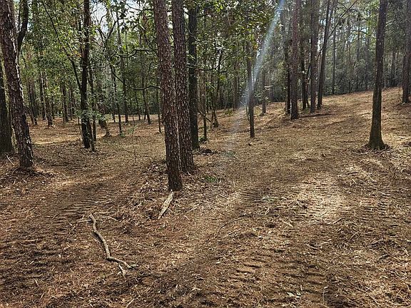 5th image of 11040 County Road 138