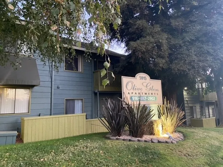 Olive Glen — Photo 24