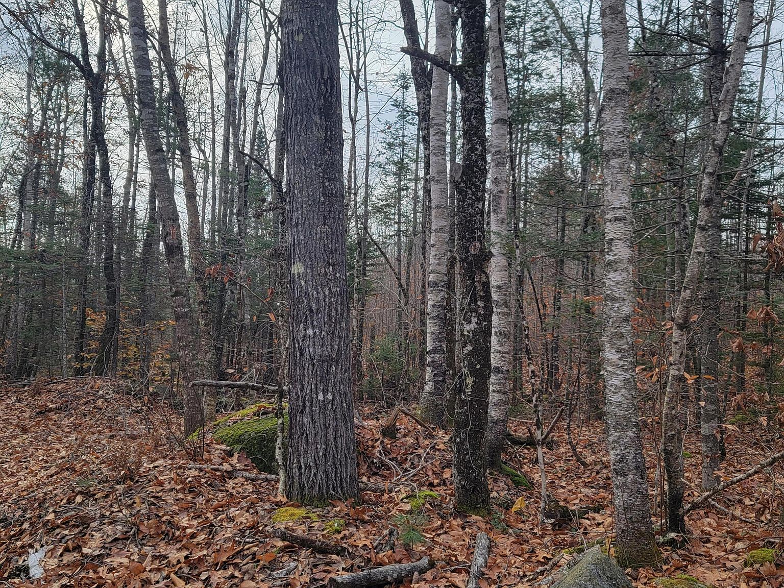 127 Hardwood Ridge Road, Cherryfield, ME 04622 MLS 1577879 Zillow