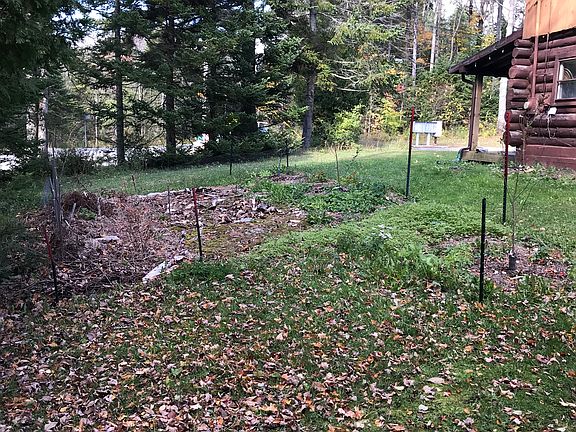 Apples and blueberries 