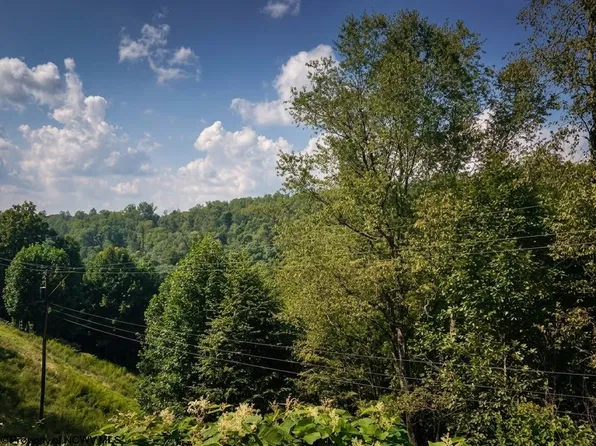 Birds Creek Rd, Tunnelton, WV 26444