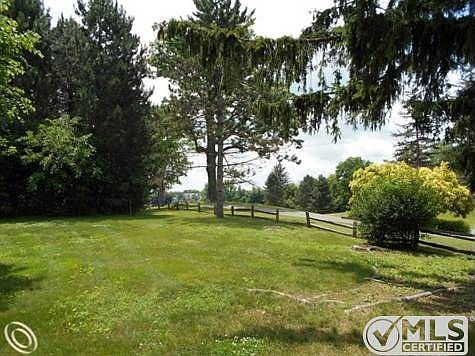 Backyard View