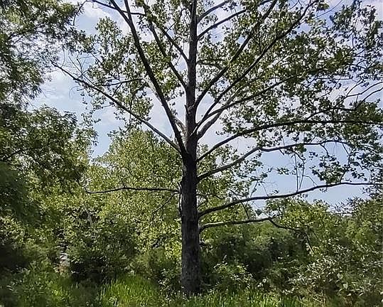 3rd image of 0 S Bridge Dr