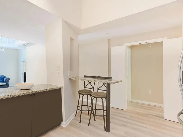 2331 W Horatio St #816 — Photo 3