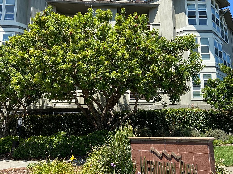 Welcome to Meridian Bay! Foster City_s finest complex!