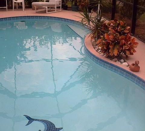 Another view of Pool
