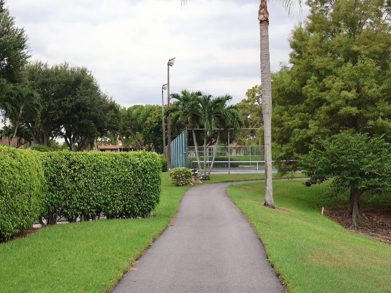 2 bed, 2.0 bath, 1005 sqft, $2,200 — Photo 2