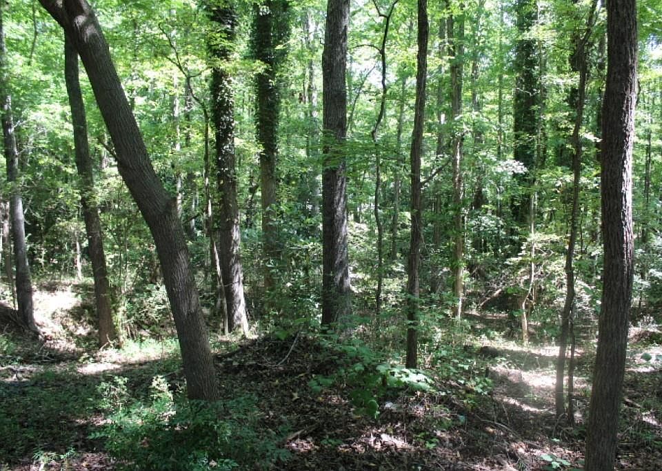 LOT Sam Dr Belton SC Zillow