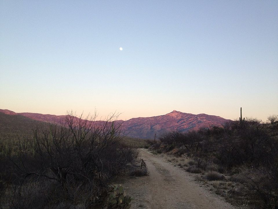 The trail 5m from the house