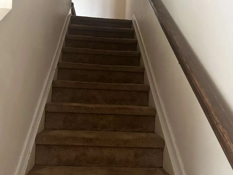 214 Olivet Loop — Photo 11