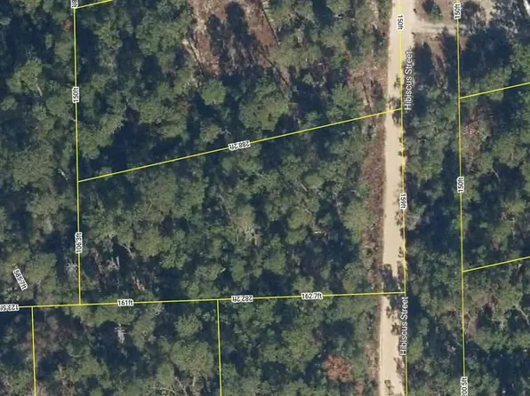107 Hibiscus St Lot 174, Pomona Park, FL 32181