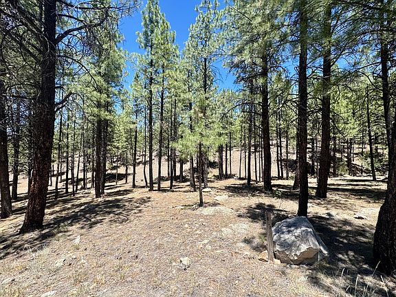 4th image of 3230 Hopi Dr