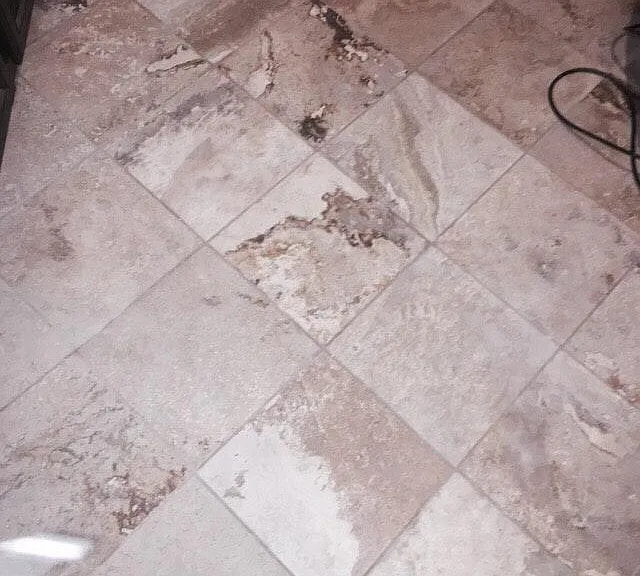 Floor