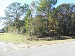 10575 E Deep Creek Blvd, Hastings, FL 32145