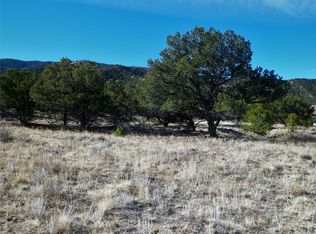 1119 Little River Ln, Poncha Springs, CO 81242