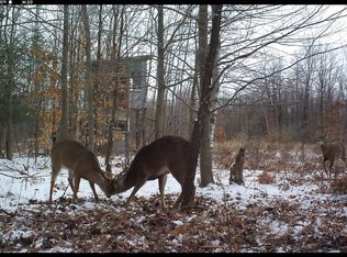 4185 S Magrudder Rd, Saint Louis, MI 48880