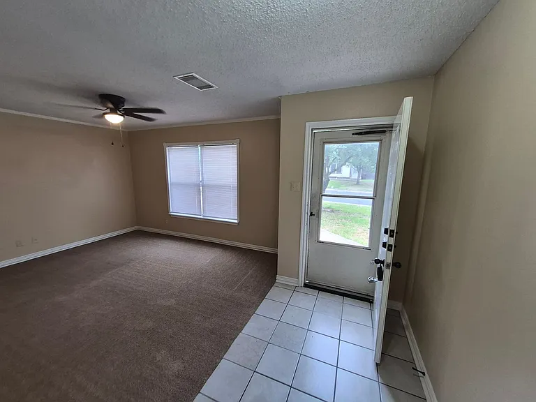 8007 Chestnut Bluff Dr — Photo 4