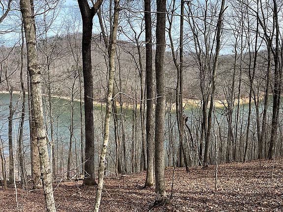 Potential Build Site