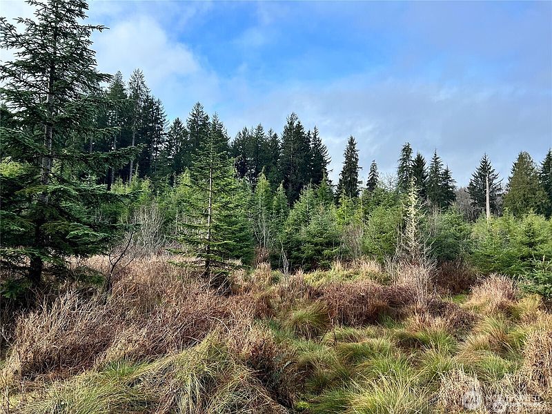 5th image of 0 Hwy 101