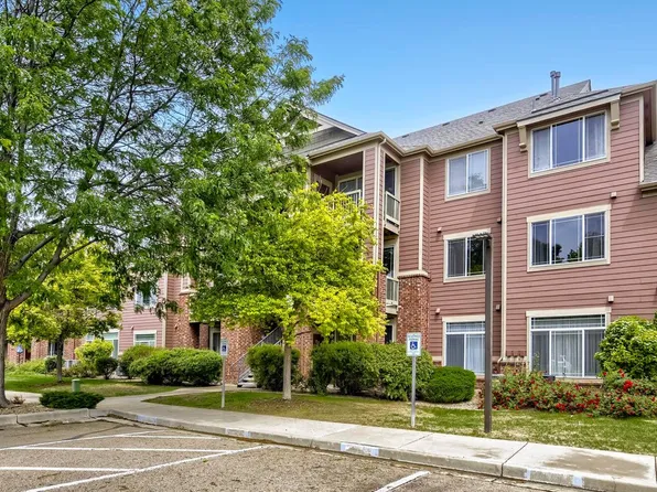 804 Summer Hawk Dr #5207, Longmont, CO 80504