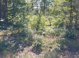 81 New County Rd, Hollis Center, ME 04042