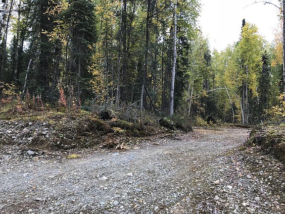 3rd image of 50321 S Tract D Loop