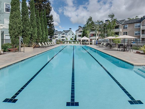 4th image of 1331 Lakeshore Cir #25-1781