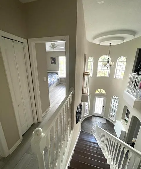 236 Arbor Woods Cir — Photo 52