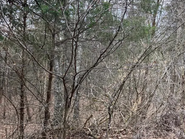 Ridgeline Rd, Evening Shade, AR 72532