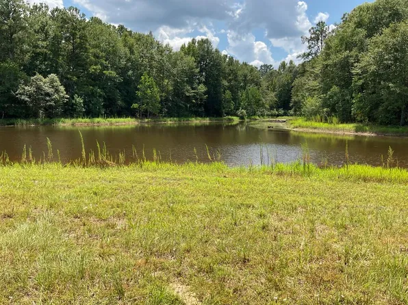 4275 Montgomery Hwy, Luverne, AL 36049