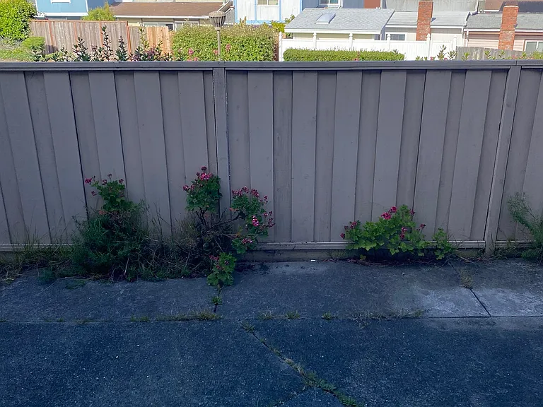 Back Patio