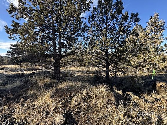 3rd image of Canvasback Dr