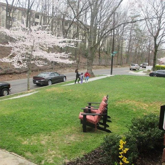 230 Varnum St NE #1B — Photo 3