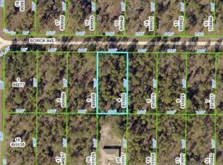LOT 4 Schick Ave, Brooksville, FL 34614