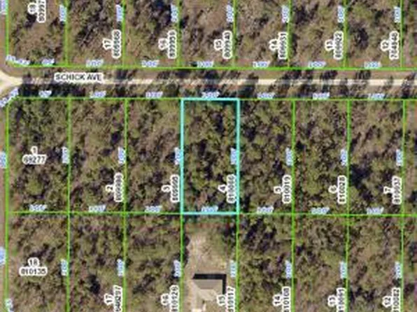 LOT 4 Schick Ave, Brooksville, FL 34614