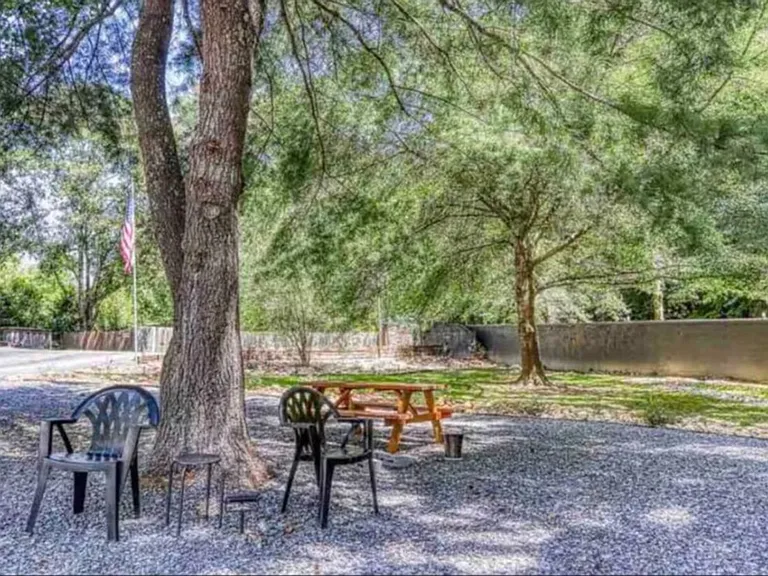 2020 Ridgetop Resort Way #ID1570997P — Photo 17