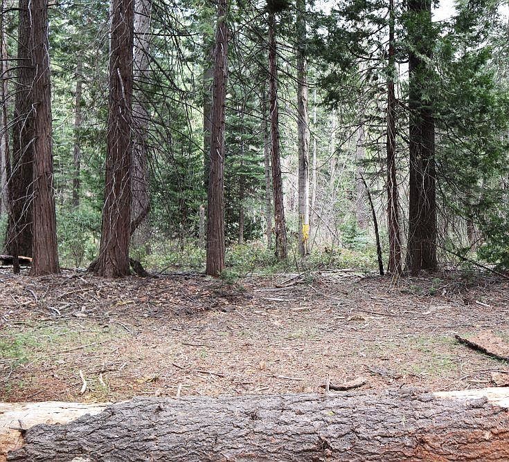 1st image of Caine Rd