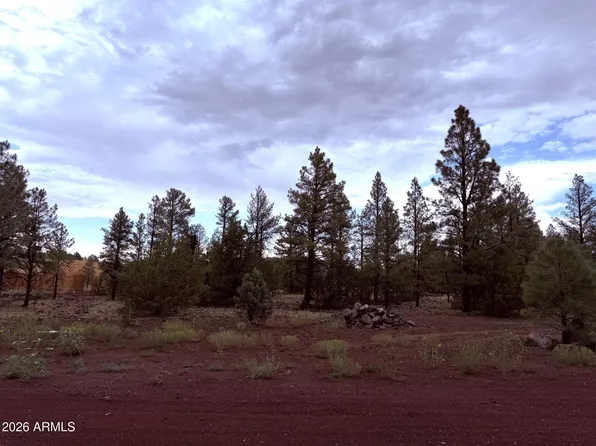 9282 N Copper Ridge Court #-, Lakeside, AZ 85929