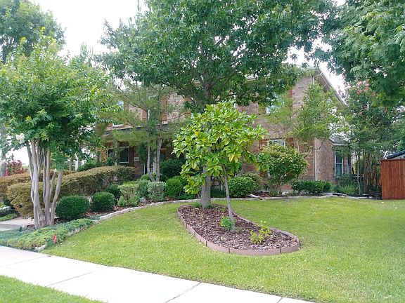 Right Front Yard