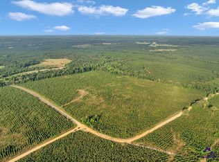 PARCEL 6 Carl Rodgers Rd, Reynolds, GA 31076