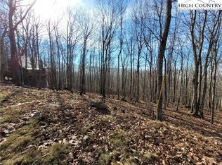 535 Pine Ridge Rd, Banner Elk, NC 28604