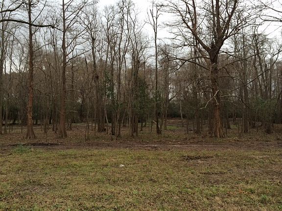 Picture from middle of lot during winter before grass